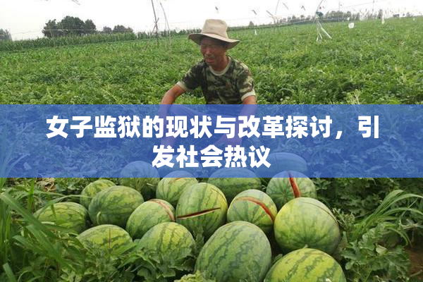 女子监狱的现状与改革探讨，引发社会热议