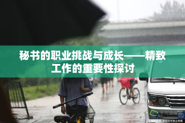 秘书的职业挑战与成长——精致工作的重要性探讨