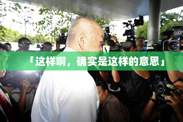 「这样啊，确实是这样的意思」