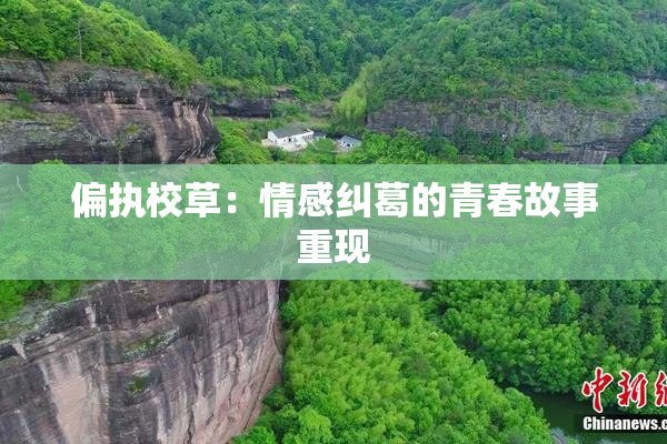 偏执校草：情感纠葛的青春故事重现