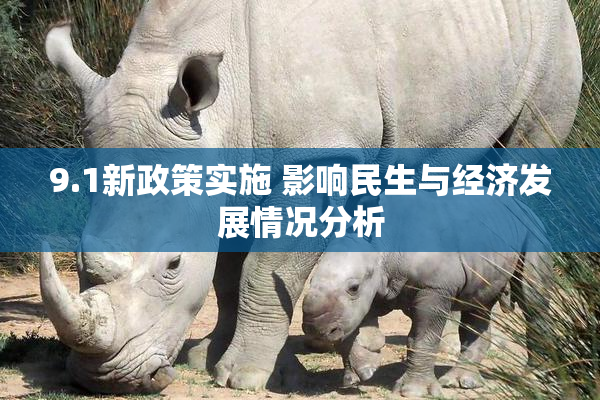 9.1新政策实施 影响民生与经济发展情况分析