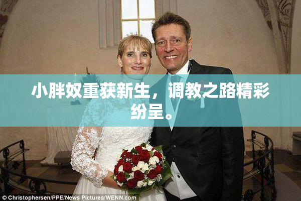 小胖奴重获新生，调教之路精彩纷呈。