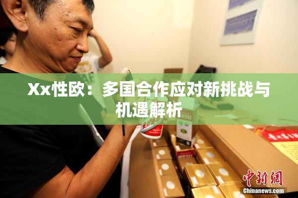 Xx性欧：多国合作应对新挑战与机遇解析