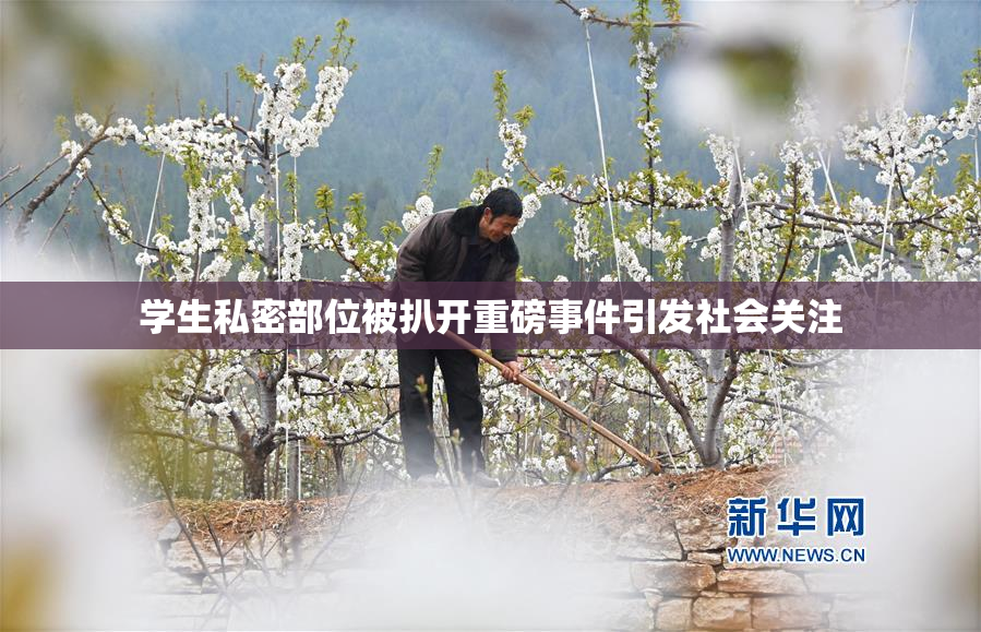 学生私密部位被扒开重磅事件引发社会关注