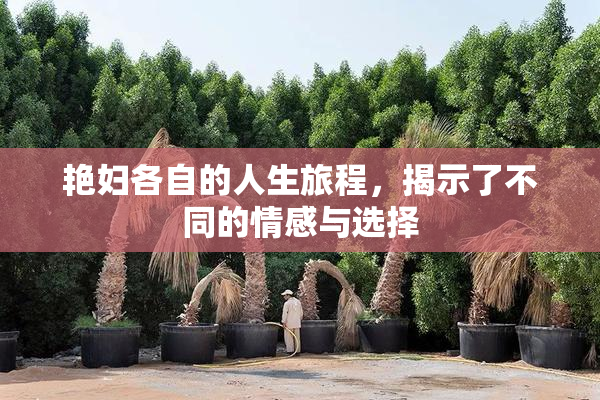 艳妇各自的人生旅程，揭示了不同的情感与选择