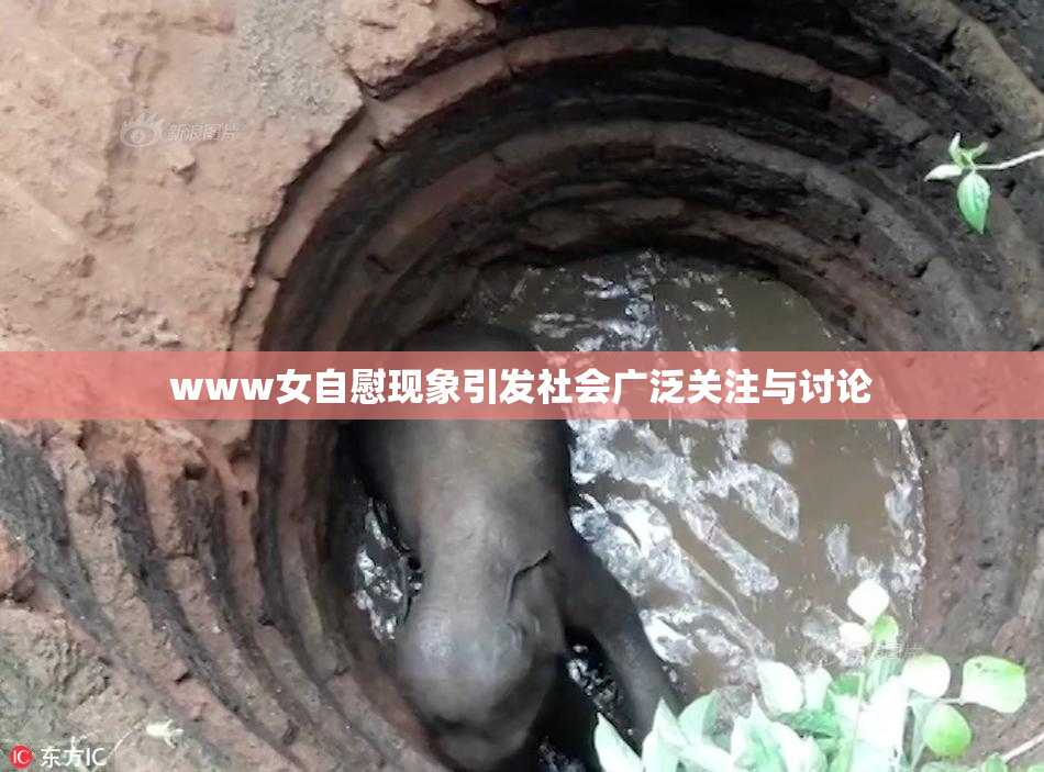 www女自慰现象引发社会广泛关注与讨论