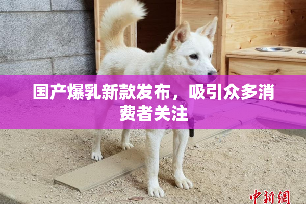 国产爆乳新款发布，吸引众多消费者关注