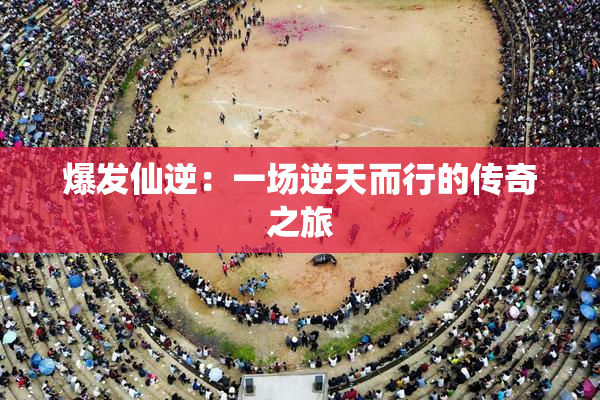 爆发仙逆：一场逆天而行的传奇之旅