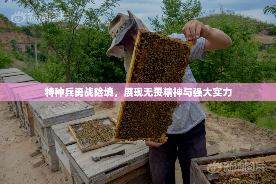 特种兵勇战险境，展现无畏精神与强大实力