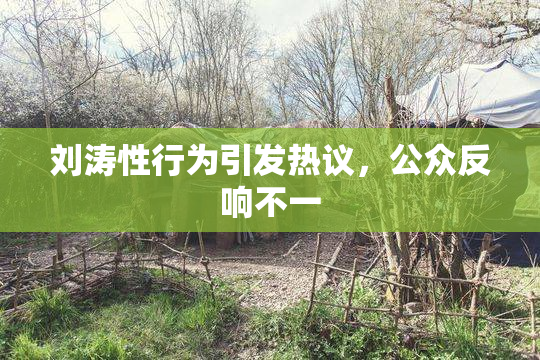 刘涛性行为引发热议，公众反响不一