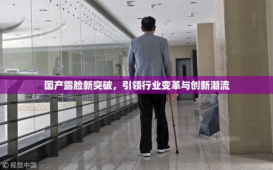 国产露脸新突破，引领行业变革与创新潮流