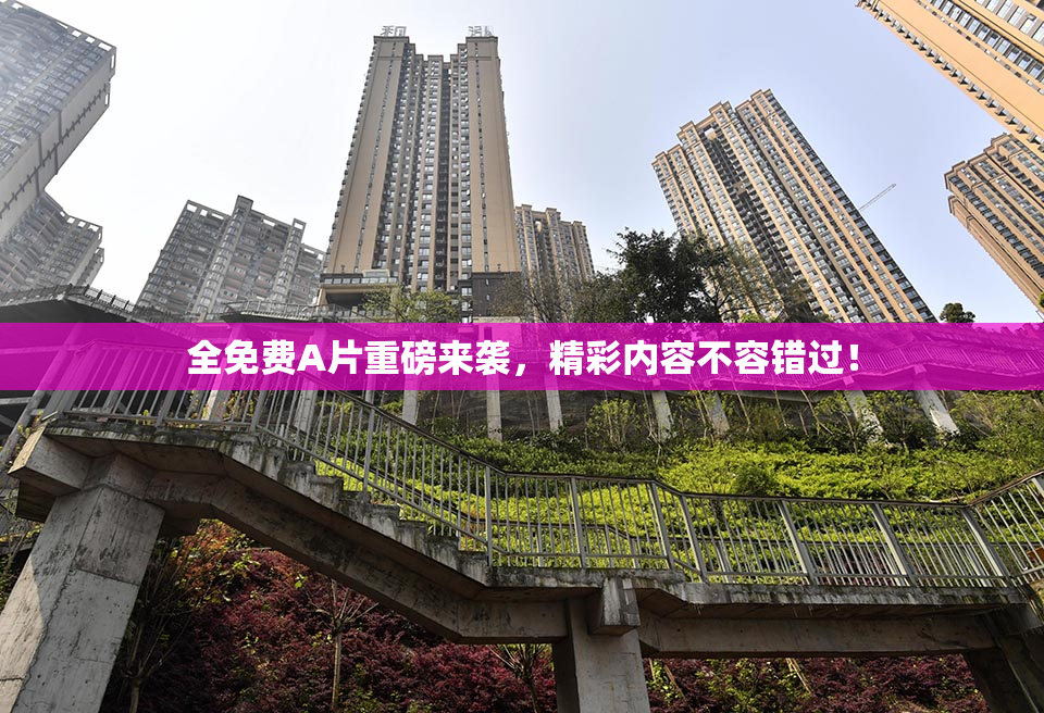 全免费A片重磅来袭，精彩内容不容错过！