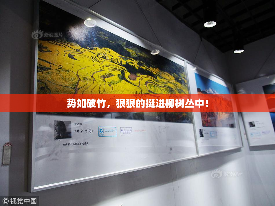 势如破竹，狠狠的挺进柳树丛中！