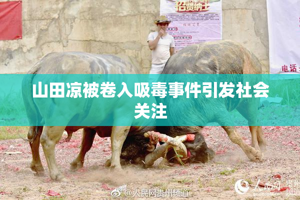 山田凉被卷入吸毒事件引发社会关注
