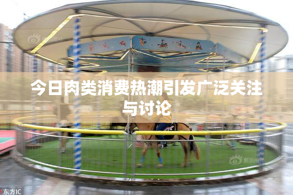 今日肉类消费热潮引发广泛关注与讨论