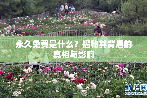 永久免费是什么？揭秘其背后的真相与影响