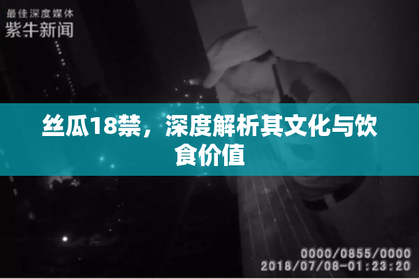 丝瓜18禁，深度解析其文化与饮食价值