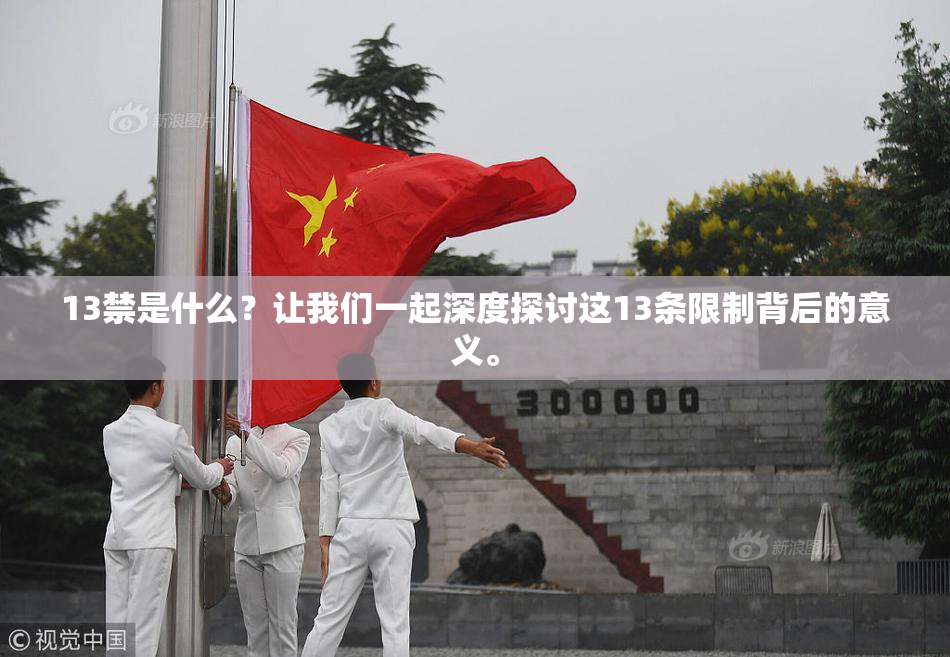13禁是什么？让我们一起深度探讨这13条限制背后的意义。
