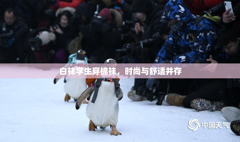 白袜学生穿棉袜，时尚与舒适并存