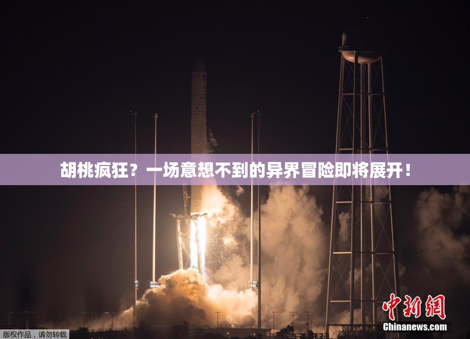 胡桃疯狂？一场意想不到的异界冒险即将展开！