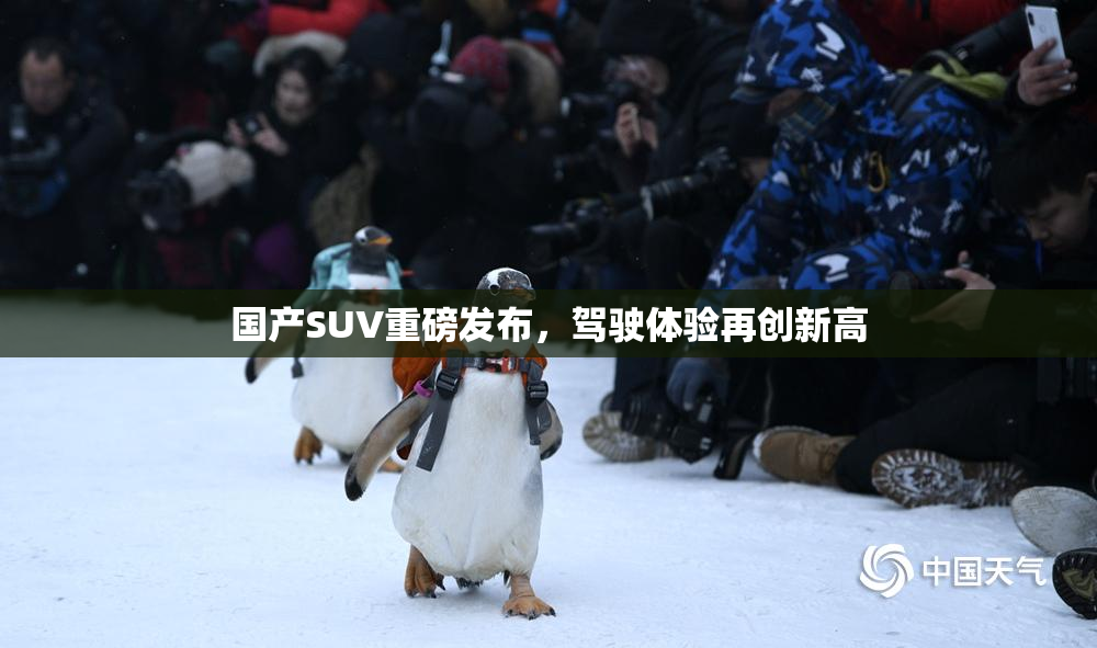 国产SUV重磅发布，驾驶体验再创新高