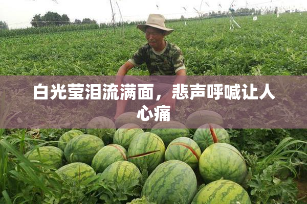 白光莹泪流满面，悲声呼喊让人心痛
