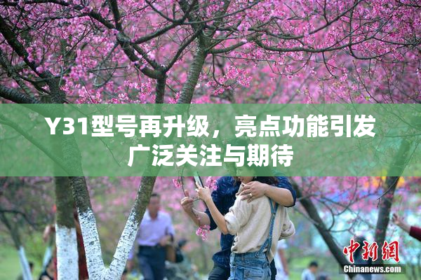 Y31型号再升级，亮点功能引发广泛关注与期待