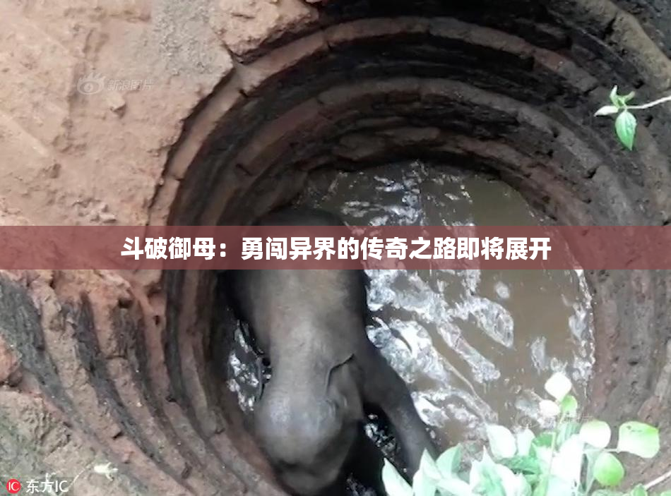 斗破御母：勇闯异界的传奇之路即将展开