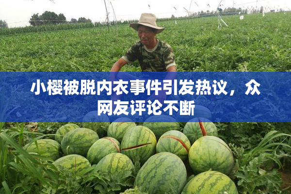 小樱被脱内衣事件引发热议，众网友评论不断