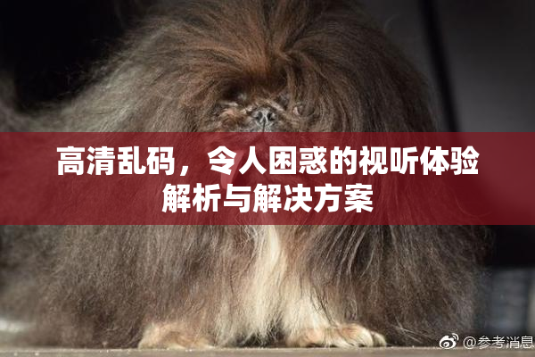 高清乱码，令人困惑的视听体验解析与解决方案