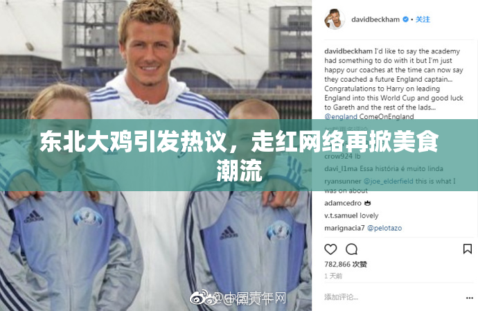 东北大鸡引发热议，走红网络再掀美食潮流