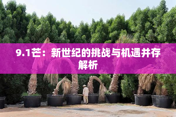 9.1芒：新世纪的挑战与机遇并存解析