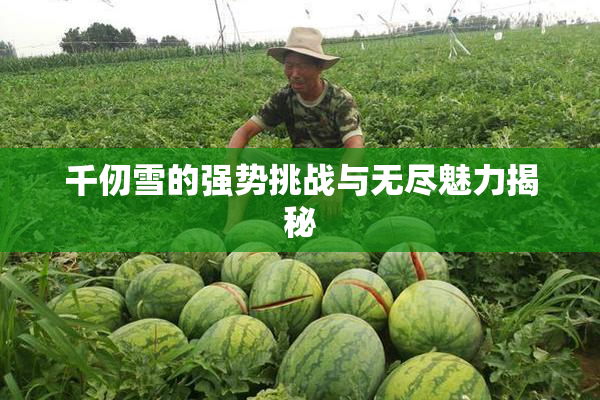 千仞雪的强势挑战与无尽魅力揭秘