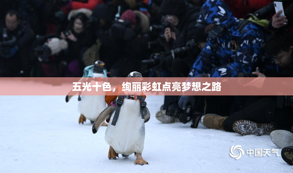 五光十色，绚丽彩虹点亮梦想之路