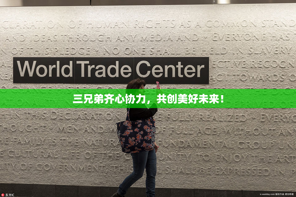三兄弟齐心协力，共创美好未来！