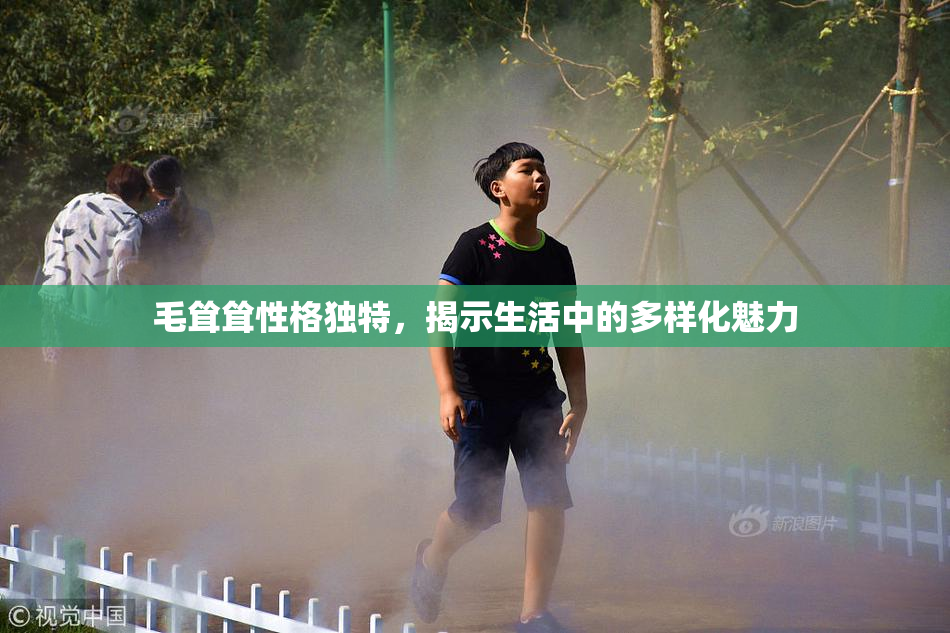 毛耸耸性格独特，揭示生活中的多样化魅力
