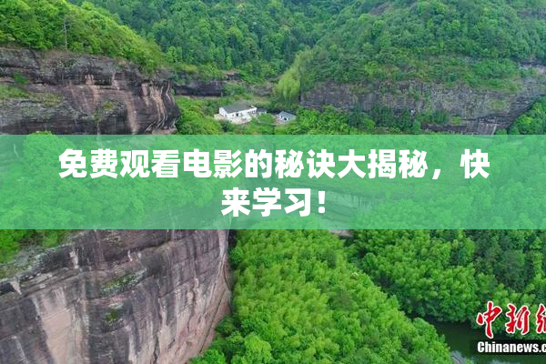 免费观看电影的秘诀大揭秘，快来学习！