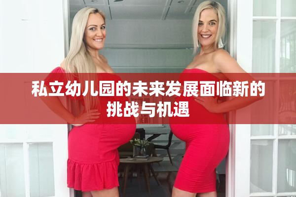 私立幼儿园的未来发展面临新的挑战与机遇