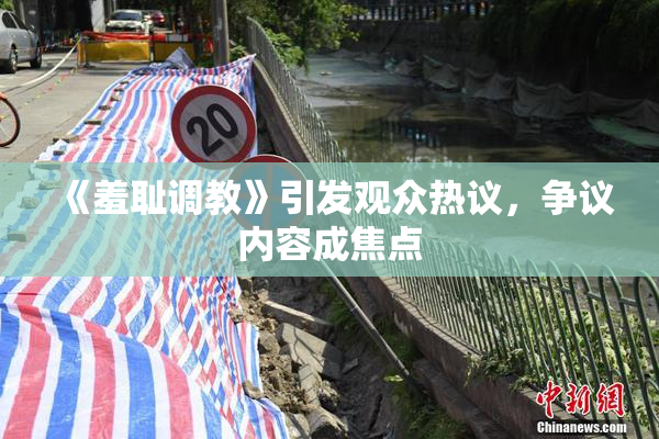 《羞耻调教》引发观众热议，争议内容成焦点