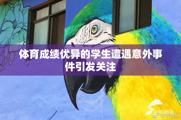 体育成绩优异的学生遭遇意外事件引发关注