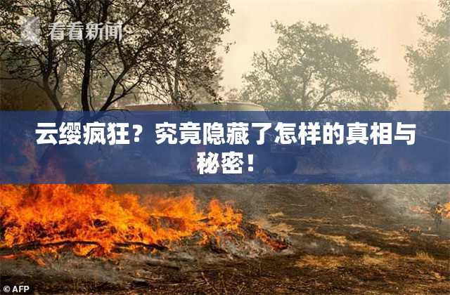 云缨疯狂？究竟隐藏了怎样的真相与秘密！