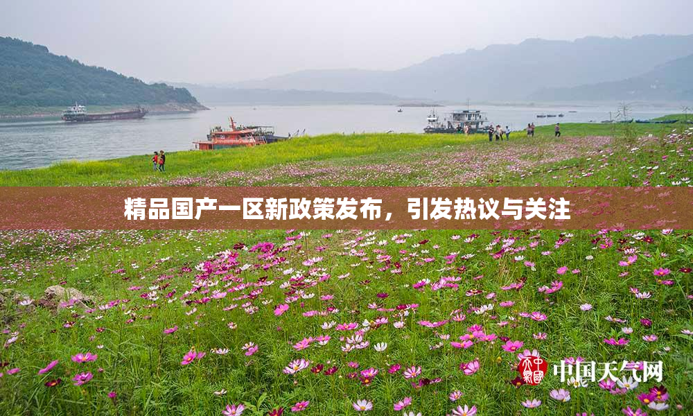 精品国产一区新政策发布，引发热议与关注