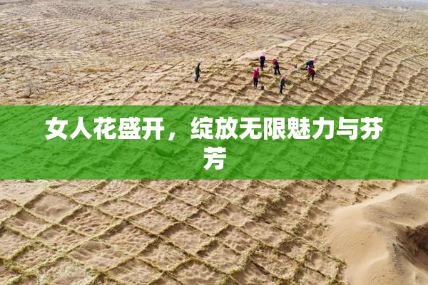 女人花盛开，绽放无限魅力与芬芳