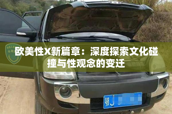 欧美性X新篇章：深度探索文化碰撞与性观念的变迁