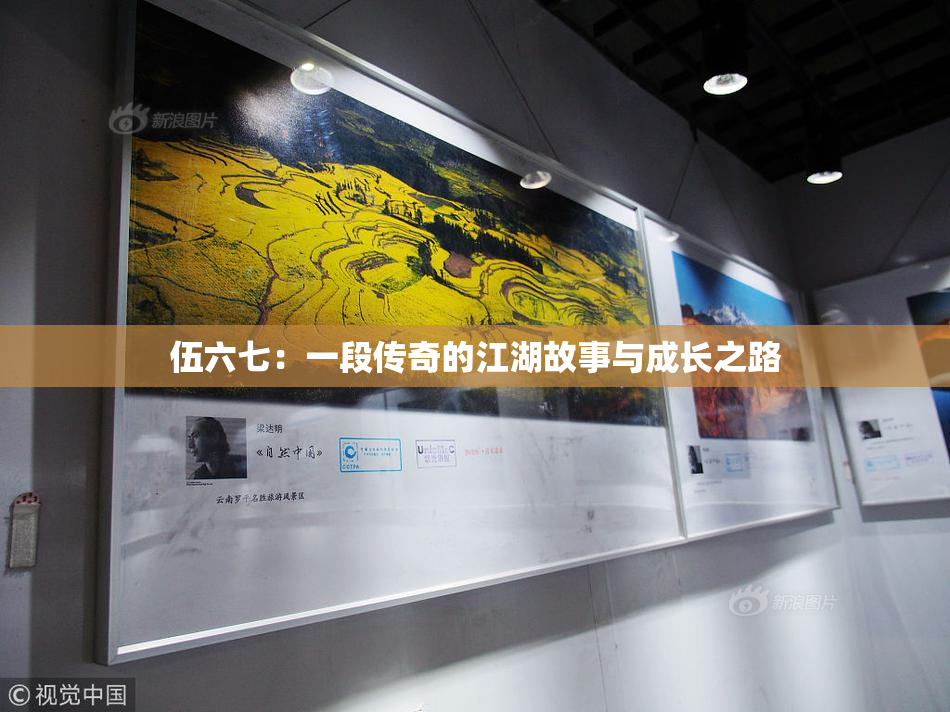 伍六七：一段传奇的江湖故事与成长之路