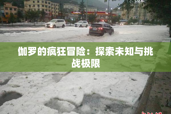伽罗的疯狂冒险：探索未知与挑战极限