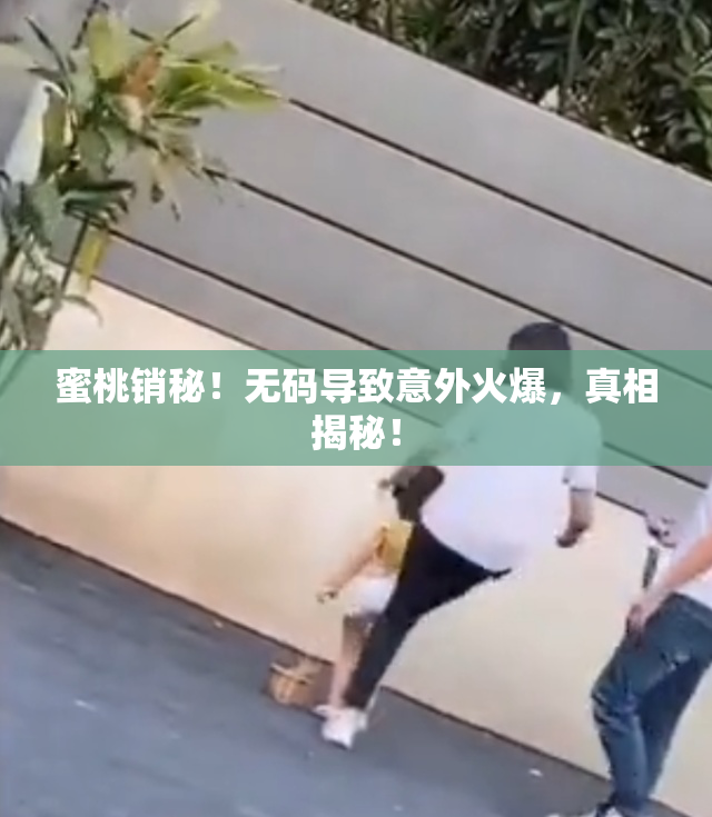 蜜桃销秘！无码导致意外火爆，真相揭秘！