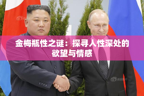 金梅瓶性之谜：探寻人性深处的欲望与情感