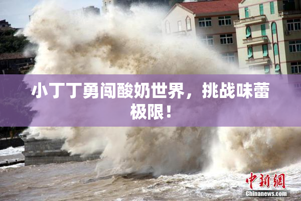 小丁丁勇闯酸奶世界，挑战味蕾极限！