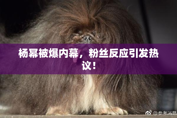 杨幂被爆内幕，粉丝反应引发热议！